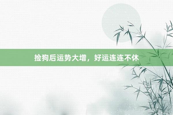 捡狗后运势大增，好运连连不休