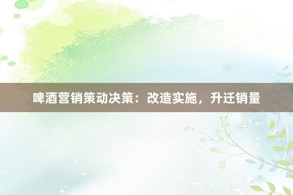 啤酒营销策动决策：改造实施，升迁销量